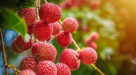 Eating Seasonally: Benefits for Your Health and Budget